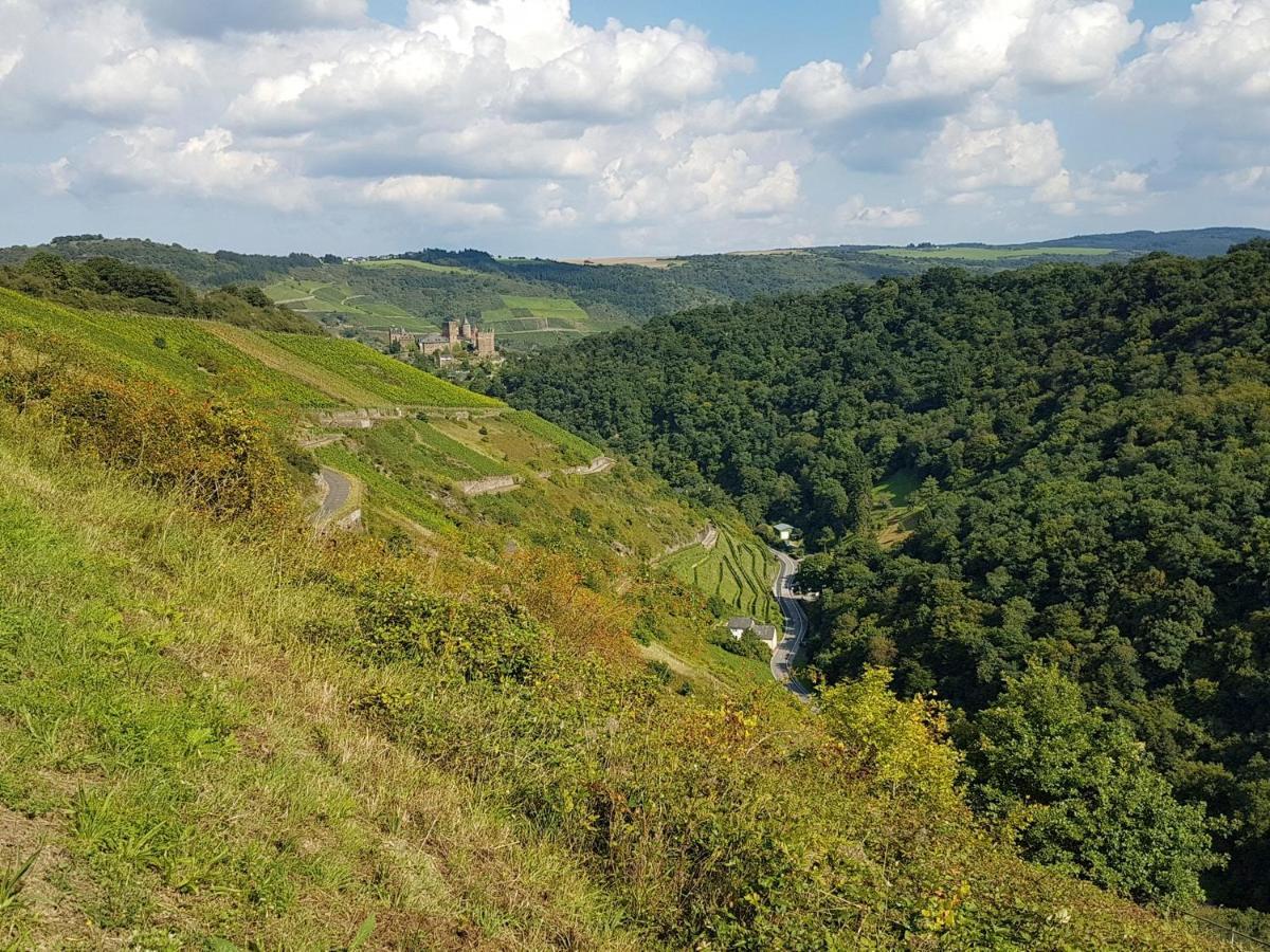 Rhine Pearl Hideaways Daire Oberwesel Dış mekan fotoğraf