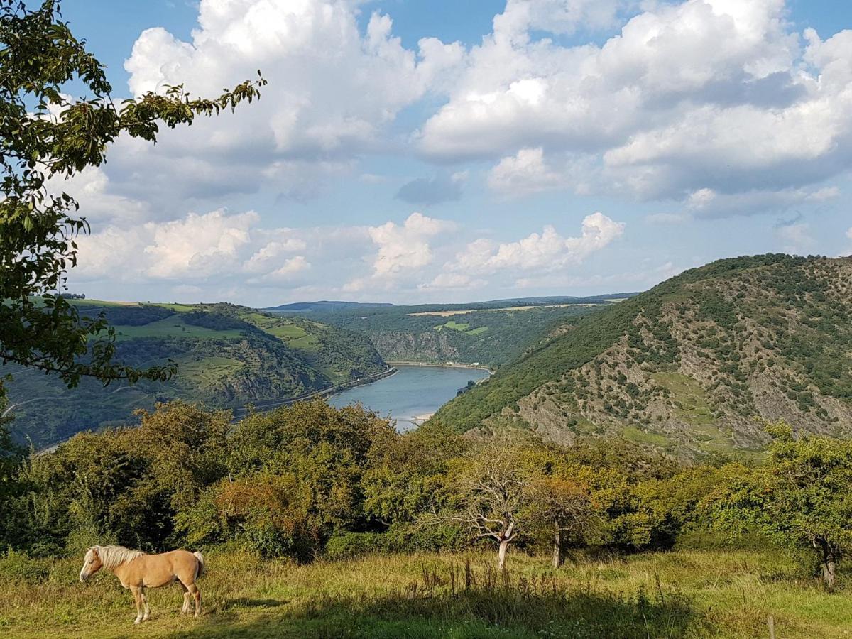 Rhine Pearl Hideaways Daire Oberwesel Dış mekan fotoğraf
