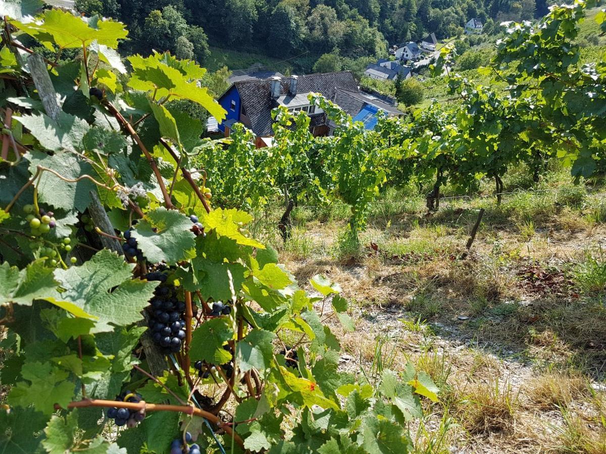 Rhine Pearl Hideaways Daire Oberwesel Dış mekan fotoğraf