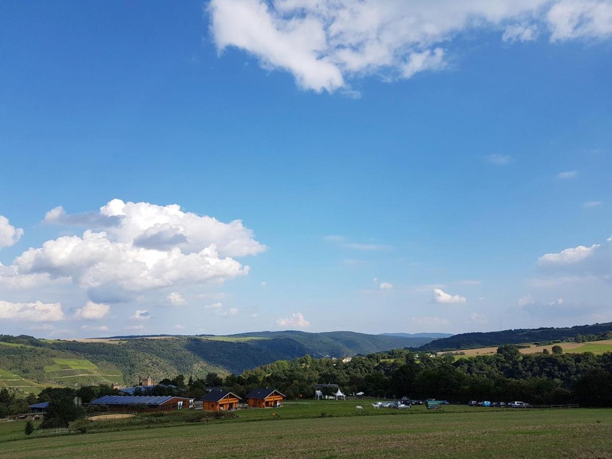 Rhine Pearl Hideaways Daire Oberwesel Dış mekan fotoğraf